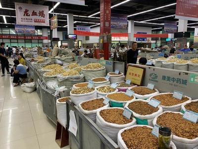 中部崛起勢正勁 安徽亳州如何“抓一把中藥，服下一帖驕傲”？——從傳統藥都到現代商品批發貿易中心的轉型之路